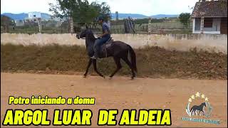 ARGOL LUAR DE ALMEIDA #mangalargamachador/#mangalargadobrasil/#mangalargadeelite/#viral_video