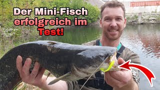 Der neue Mini-Fisch