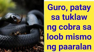 Guro, patay sa tuklaw ng cobra sa loob mismo ng paaralan