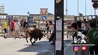 matinal Benavent en Sagunto 16 de junio 2024