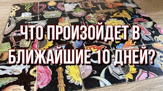 Что произойдет в ближайшие 10 дней? 🔮 гадание на пасьянсе