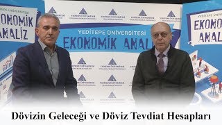 Ekonomik Analiz 5: Dövizin Geleceği ve Döviz Tevdiat Hesapları