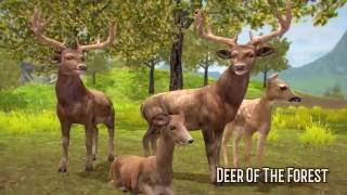 Deer of the Forest Promo Video