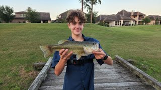 fishing a GOLF COURSE  for BASS! #fishing #shorts