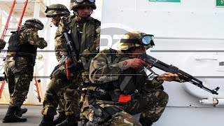 l'Armée algérienne 2017 en Action لماذ داعش تخاف من الجزائر ؟