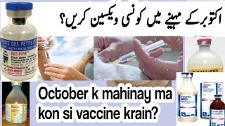 October اکتوبر ma cow,buffalo, sheep, goat ma kon si vaccine krain?  kis tra or kitni mikdaar?