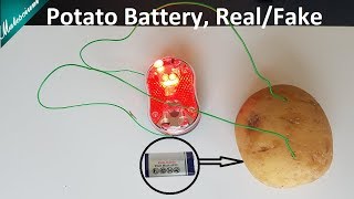 Potato Powered Light Bulb | Real or Fake