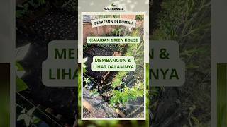 Green house sederhana tapi dalamnya luar biasa #berkebun #berkebundirumah #greenhouse #shorts