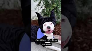 Military Pet Club October