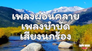 เพลงผ่อนคลาย เพลงบำบัด เสียงนกร้อง/เพลงนอนหลับ/Piano and birdsounds/Relaxing music #relaxing