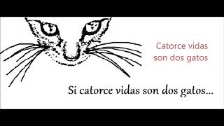 Si 14 vidas son 2 gatos...