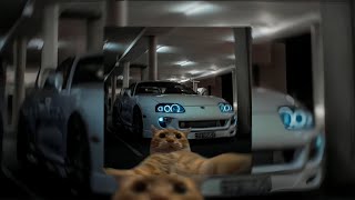 𝗧𝗨 𝗝𝗢𝗚𝗔 𝗣𝗔 𝗧𝗥Á𝗦 - 𝘋𝘑 𝘛𝘈𝘙𝘋𝘐𝘖 | 𝘚𝘓𝘖𝘞𝘌𝘋 & 𝘙𝘌𝘝𝘌𝘙𝘉𝘌𝘋 | CATS X CARS | TIKTOK