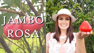 JAMBO ROSA | Madame das Frutas