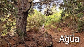 RUTA del AGUA. El Hierro (agosto 2023)