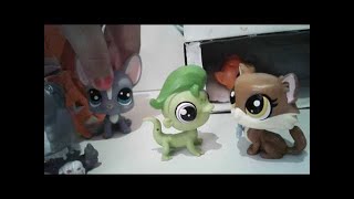 LPS сериал: Лагерь 4 серия 2часть