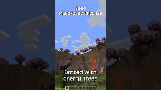 What Are Your Thoughts About This Minecraft Seed?