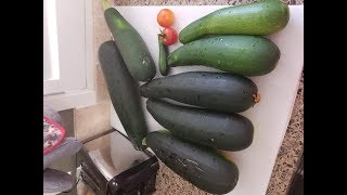 How to grow HUGE squash!