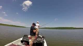 Little Lake - Slamming Largemouth Bass