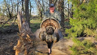 Another Texas Gobbler Down!