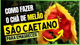 Como fazer o chá de Melão São Caetano para emagrecer