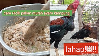 cara meracik pakan murah ayam kampung biar untung besar