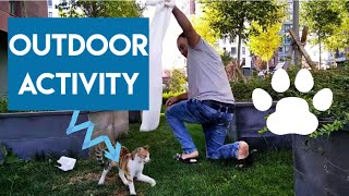 SHEKY THE CAT OUTDOOR ACTIVITY