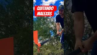 Quitando malezas del nuevo terreno #plantas #jardin #terrenos #pueblo #rancho