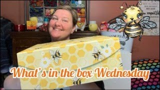 What's in the Box Wednesday LIVE