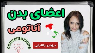 اعضای بدن و آناتومی در زبان ایتالیایی - Anatomia in Italiano