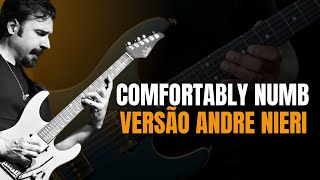 Comfortably Numb - Andre Nieri Cover