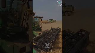 Wheat Harvesting 2023 #vetvlogs