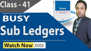 How To Create Sub-Ledgers In Busy Software