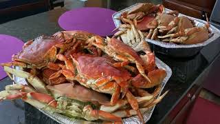 Vlog: Dungeness crabs & Red Rock crabs from Puget Sound