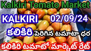 2 September 2024|| Kalkiri tomto rate || tomato rate kalkiri