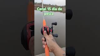 lindo día de pesca en canal 15 #metal #buena pesca #fishing