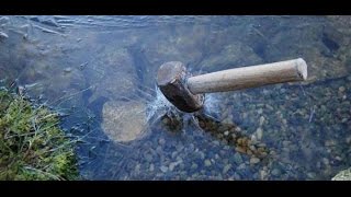 Fish & The Frozen Pond