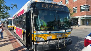 Boston MBTA 2014 New Flyer Xcelsior XDE40 1431 on route 116