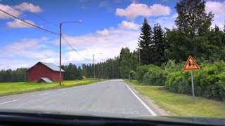 Road trip - Finland, Viinijärvi - Koli