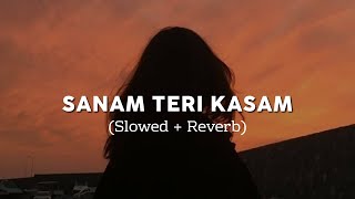 Sanam Teri Kasam Song Lofi