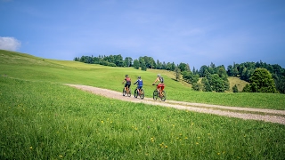 Livestream von Salzburger Saalachtal