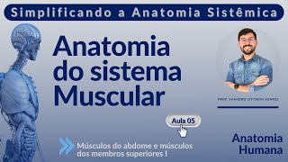 Sistema muscular - Aula 05 - Músculos do abdome e músculos dos membros superiores I