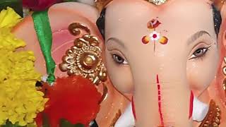 गणपती बाप्पा मोरया🌺🙏। कोकण शोभा।Ganapati Bappa Morya🙏।#shorts