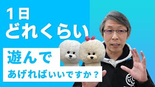 【犬のしつけ】１日どれくらい遊んだらのが良いの？【悩み相談ライブ切り抜き】