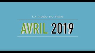 Vidéo du mois - Avril 2019