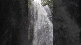 Hidden waterfall deep in the jungle#shorts#waterfall #bhudargad #jungle