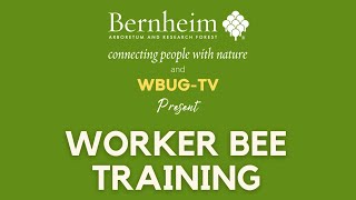 Worker Bee Training