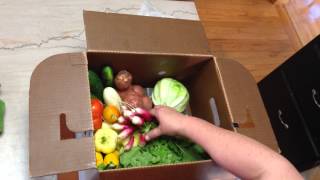 Riverbend Organic Farm CSA Box:  The week after Garlic Fest