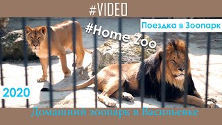 Домашний зоопарк в Васильевке. HomeZoo Vasilievka. Что посмотреть по дороге на Азовское море?