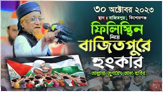 ফিলিস্থিন নিয়ে কিশোরগঞ্জে জুনায়েদ আল হাবিবের  সেরা তাফসীর | allama junaid al habibi | Nabi Media