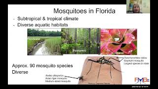 Mosquito Species in Florida